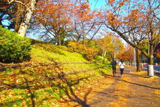 運動の秋に始める腸活｜続けやすい動き方
